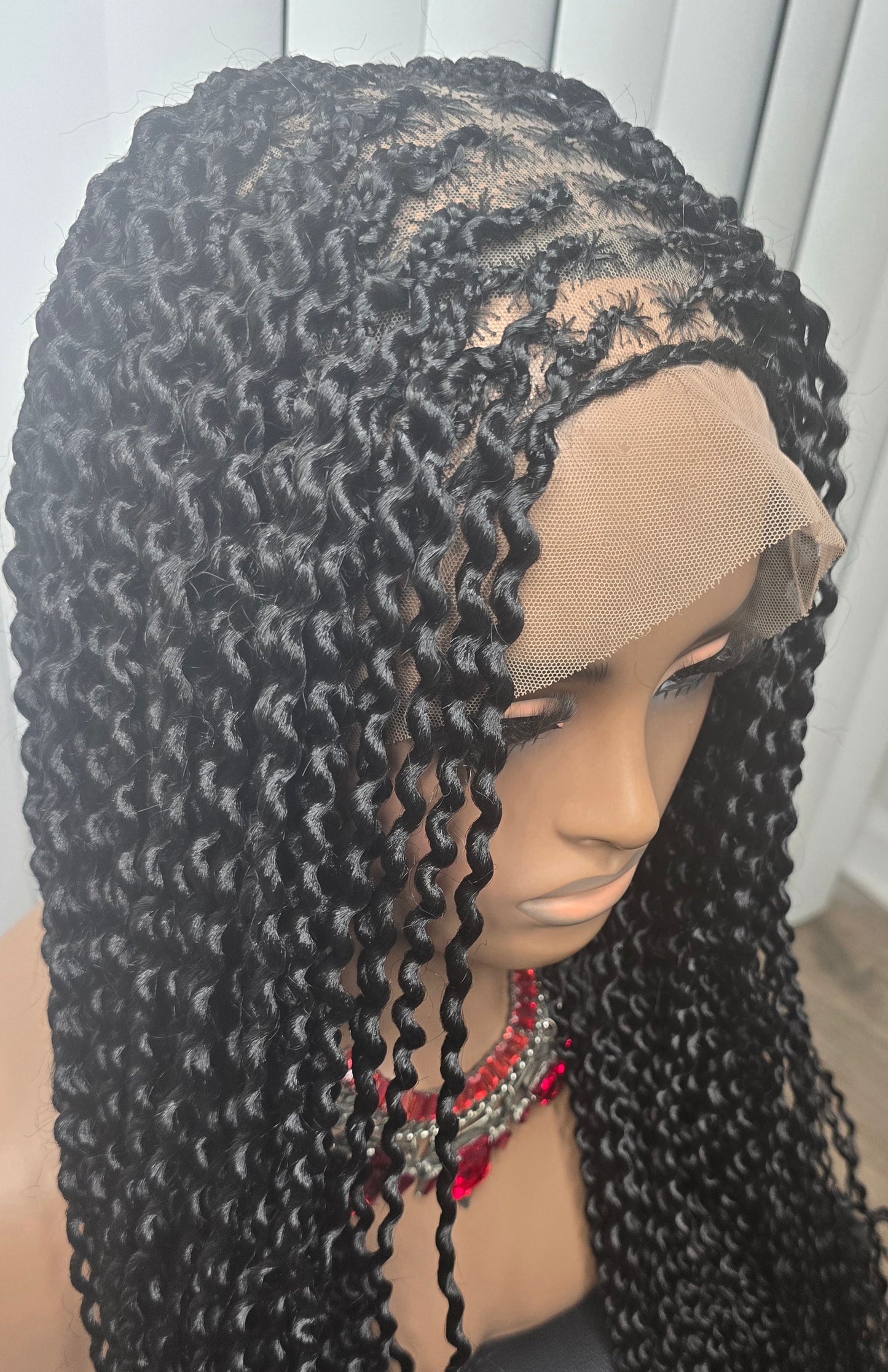 Black Watermelon Luxe Braids Wig – Elegant & Timeless