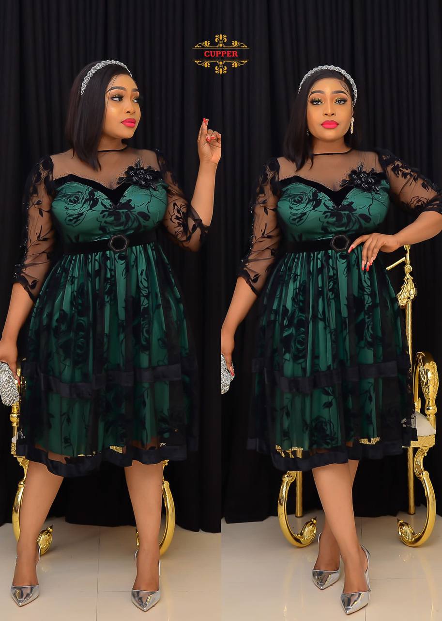 Cupper Green Net Dresses for Classic Ladies with Black Lace Accents and Elegant Belted Waist for Any Occasion